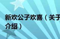 新欢公子欢喜（关于新欢公子欢喜的基本详情介绍）