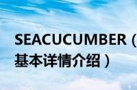 SEACUCUMBER（关于SEACUCUMBER的基本详情介绍）