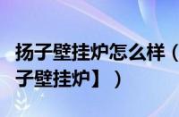 扬子壁挂炉怎么样（扬子壁挂炉特点介绍【扬子壁挂炉】）