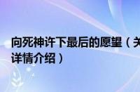 向死神许下最后的愿望（关于向死神许下最后的愿望的基本详情介绍）