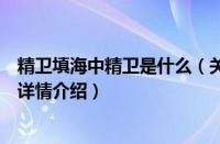 精卫填海中精卫是什么（关于精卫填海中精卫是什么的基本详情介绍）