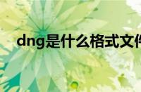 dng是什么格式文件（DNG是什么格式）