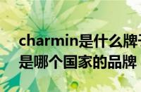 charmin是什么牌子（CHARMINGSMILE是哪个国家的品牌）