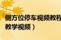 侧方位停车视频教程新手必看（侧方停车步骤教学视频）