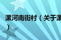 漯河南街村（关于漯河南街村的基本详情介绍）