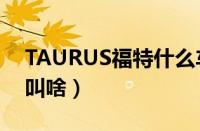 TAURUS福特什么车（福特TAURUS中文名叫啥）