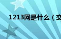 1213网是什么（交通1213网站是什么）