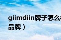 giimdiin牌子怎么样（GIINII是哪个国家的品牌）