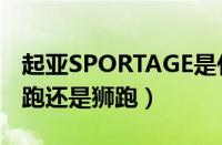 起亚SPORTAGE是什么车（SPORTAGE是智跑还是狮跑）