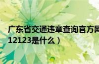 广东省交通违章查询官方网站（安徽交通违章查询官方网站12123是什么）