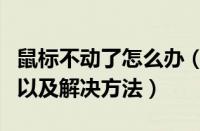 鼠标不动了怎么办（鼠标没有反应的可能原因以及解决方法）