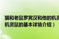 猫和老鼠罗宾汉和他的机灵鼠（关于猫和老鼠罗宾汉和他的机灵鼠的基本详情介绍）