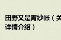 田野又是青纱帐（关于田野又是青纱帐的基本详情介绍）