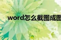 word怎么截图成图片（word怎么截图）