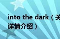 into the dark（关于into the dark的基本详情介绍）