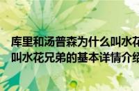 库里和汤普森为什么叫水花兄弟（关于库里和汤普森为什么叫水花兄弟的基本详情介绍）