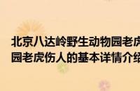 北京八达岭野生动物园老虎伤人（关于北京八达岭野生动物园老虎伤人的基本详情介绍）