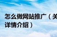 怎么做网站推广（关于怎么做网站推广的基本详情介绍）