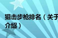 狙击步枪排名（关于狙击步枪排名的基本详情介绍）