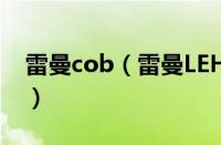 雷曼cob（雷曼LEHMAN是哪个国家的品牌）