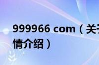 999966 com（关于999966 com的基本详情介绍）