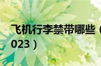 飞机行李禁带哪些（飞机禁止携带物品清单2023）