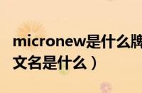 micronew是什么牌子?（Microlife品牌的中文名是什么）