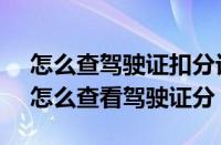 怎么查驾驶证扣分记录查询12123（12123怎么查看驾驶证分）