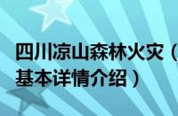 四川凉山森林火灾（关于四川凉山森林火灾的基本详情介绍）