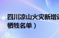 四川凉山火灾新增遇难者（四川火灾30烈士牺牲名单）