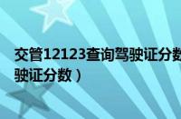 交管12123查询驾驶证分数的方法（交管12123怎么查询驾驶证分数）