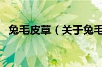 兔毛皮草（关于兔毛皮草的基本详情介绍）