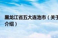 黑龙江省五大连池市（关于黑龙江省五大连池市的基本详情介绍）