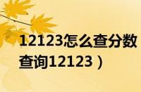 12123怎么查分数（手机查驾驶证分数怎么查询12123）