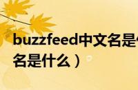 buzzfeed中文名是什么（Joerex品牌的中文名是什么）