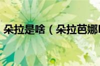 朵拉是啥（朵拉芭娜Dorabana是什么档次）