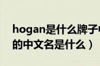 hogan是什么牌子中文名（WOUXUN品牌的中文名是什么）