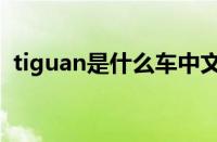 tiguan是什么车中文名（tiguan是什么车）