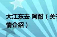 大江东去 阿耐（关于大江东去 阿耐的基本详情介绍）