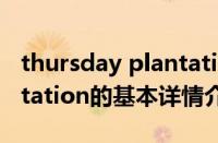 thursday plantation（关于thursday plantation的基本详情介绍）