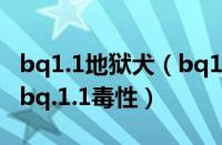 bq1.1地狱犬（bq1.1变异株致死率 奥密克戎bq.1.1毒性）