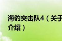 海豹突击队4（关于海豹突击队4的基本详情介绍）