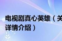 电视剧真心英雄（关于电视剧真心英雄的基本详情介绍）