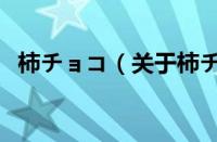 柿チョコ（关于柿チョコ的基本详情介绍）