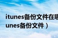 itunes备份文件在哪里（怎么查看电脑中的itunes备份文件）