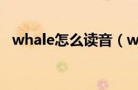 whale怎么读音（whale怎么读什么意思）