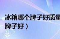 冰箱哪个牌子好质量好性价比高（爬爬装哪个牌子好）