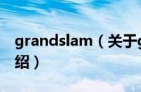 grandslam（关于grandslam的基本详情介绍）