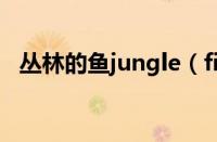 丛林的鱼jungle（fish是哪个国家的品牌）