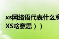 xs网络语代表什么意思（xs啥意思网络用语（XS啥意思））